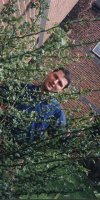 bushes