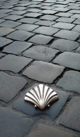 camino1