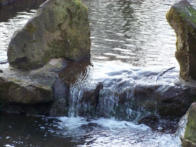 spring8
