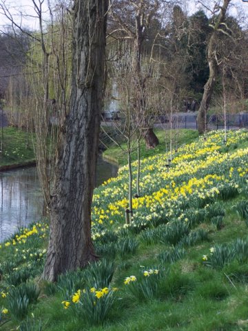 spring9