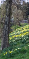 spring9