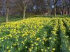 spring2