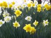 spring3