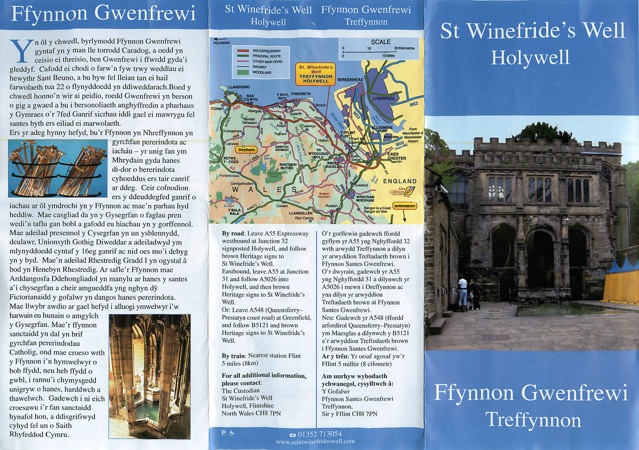 st winefriedes well11