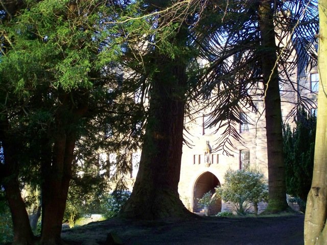 kinnoull8