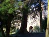 kinnoull8