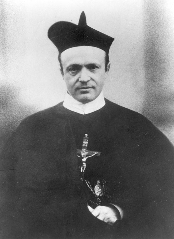 fr wilhelm janauschek cssr
