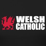 cssr welsh