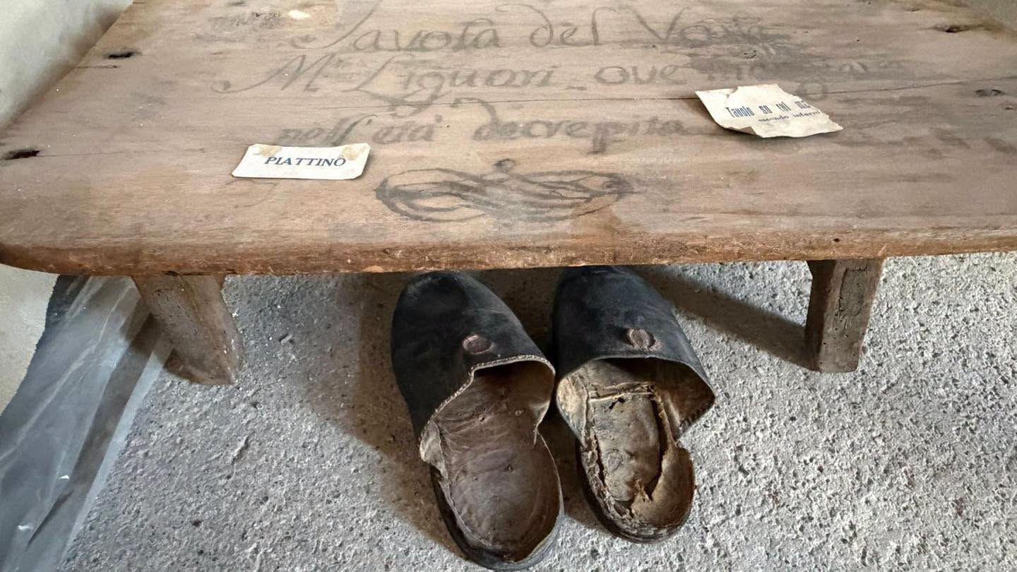 alphonsus slipper