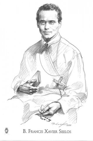 seelos4