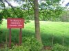 kinnoullsign