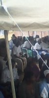 zimjub1